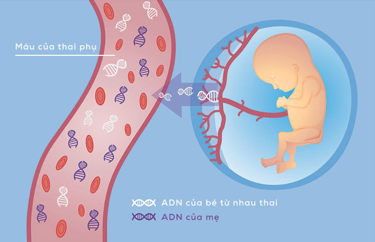 Việt Gen - Bước đột phá trong lĩnh vực xét nghiệm gen tại Việt Nam