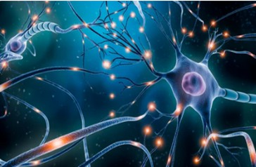 The Role of ADME/DMPK in Stroke Drug Development
