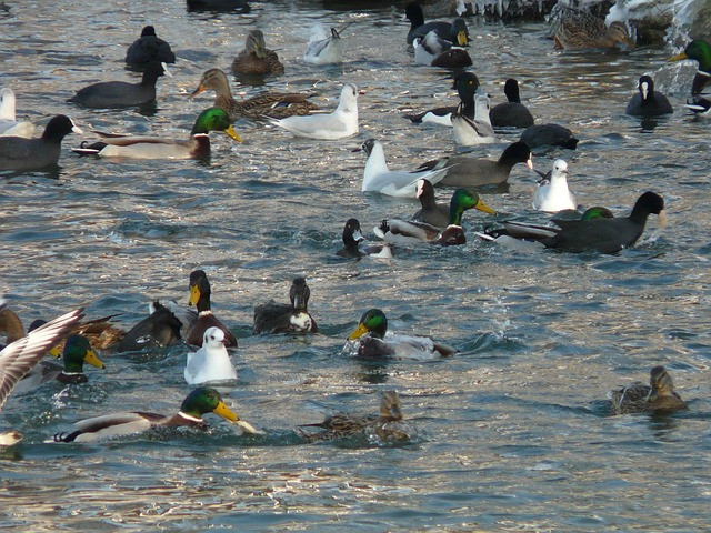 Side Hustles vs Full-Time Online Careers: Structural Differences and a Practical Decision Guide