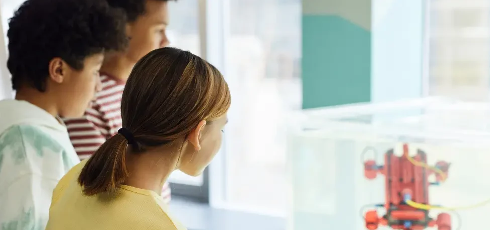 How Observation Can Enhance Your Learning Experience?