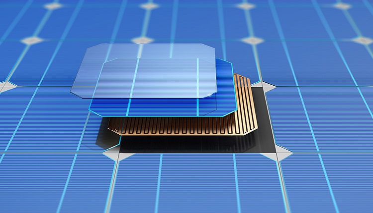 Solar Cell Paste Market: Growth Prospects Amid Policy Support