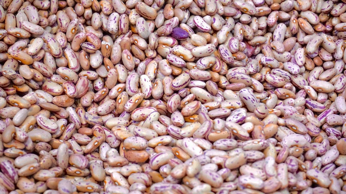The Sesame Seeds Market: A Growing Global Industry