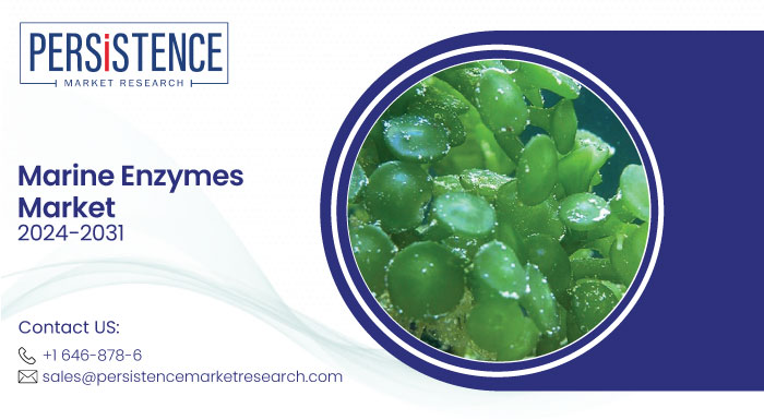 Marine Enzymes Offer Natural Solutions for Food, Pharma, and Cosmetics