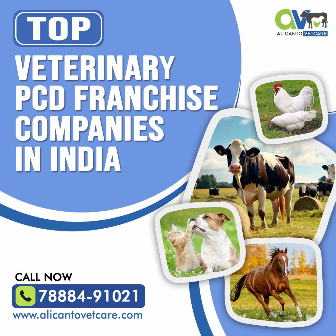 Top Veterinary PCD Franchise Companies in India: Your Ticket to the Veterinary Business World