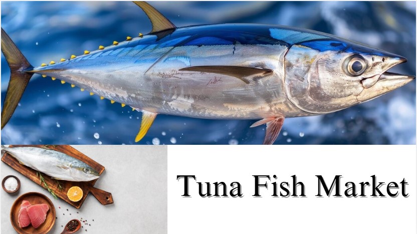 Tuna Fish Market Size, Share, Growth and Forecast Through 2032