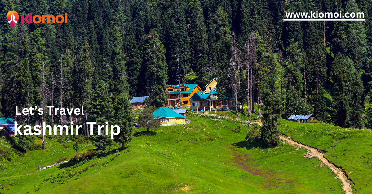 How to Choose the jammu and kashmir tour packages