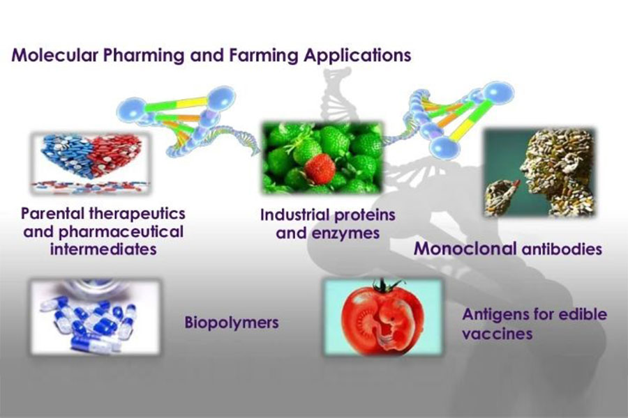 Molecular Pharming Market: Unveiling Competition, Size, and Robust Growth Prospects Through 2029