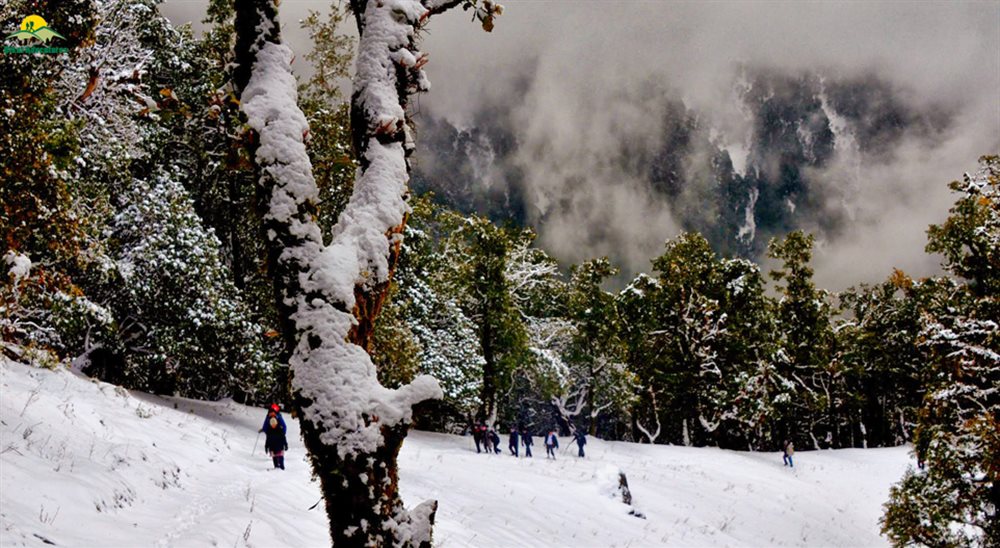 Nag Tibba Trek: A Comprehensive Guide to Exploring the Serpent's Peak