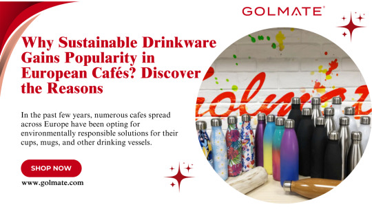 Why Sustainable Drinkware Gains Popularity in European Cafés? Discover the Reasons
