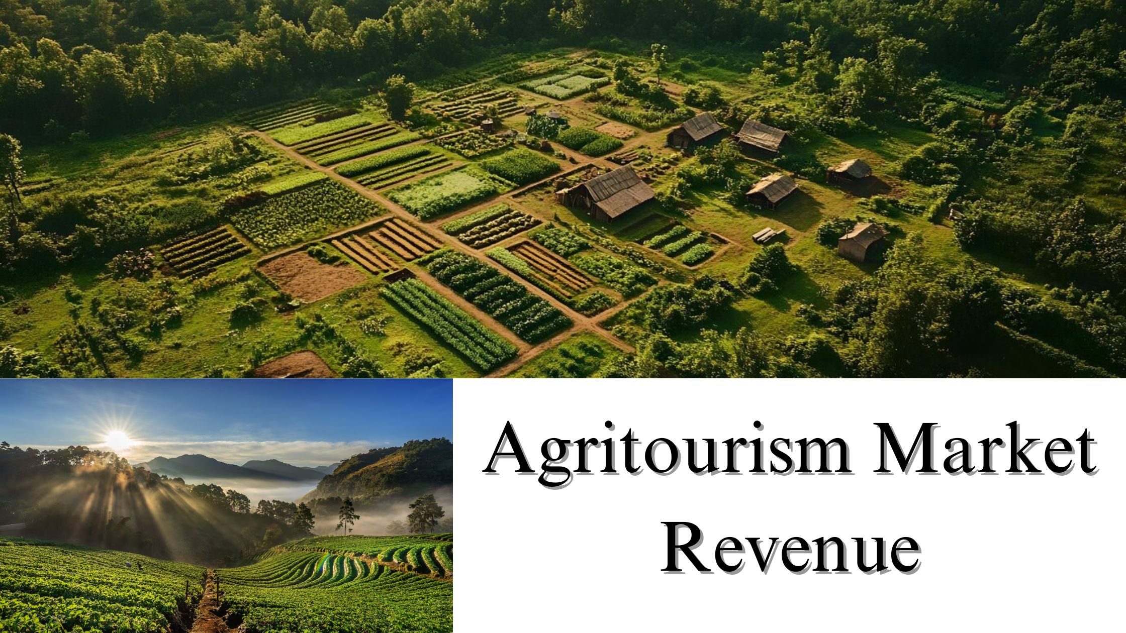 Agritourism Market Revenue, Size, Share, and Growth Forecast Through 2032