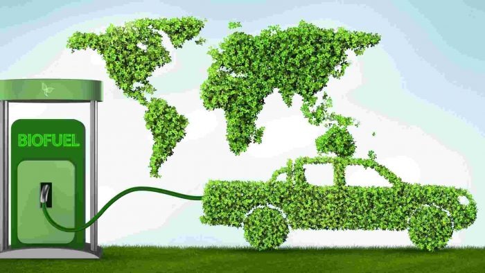 Biofuel Additives Market Size and Share Analysis: Trends and Outlook for 2024-2032