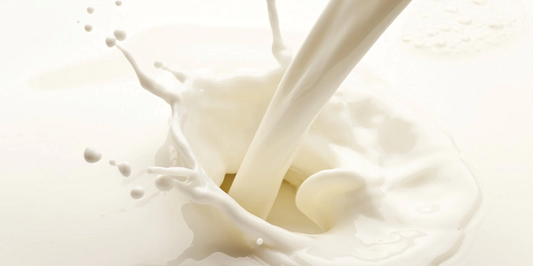 Liquid Milk Manufacturing Plant 2024, Project Report, Manufacturing Process, Business Plan, Setup and Cost
