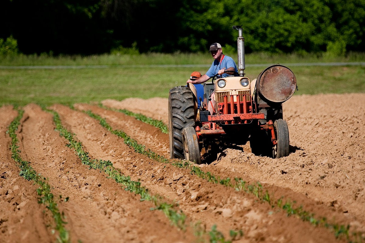 Livestock Farm Management Software Market: Trends, Growth, and Forecast from 2023 to 2030