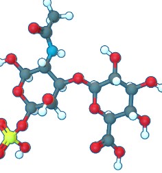 Chondroitin Sulfate Market Size Share & Report, 2024