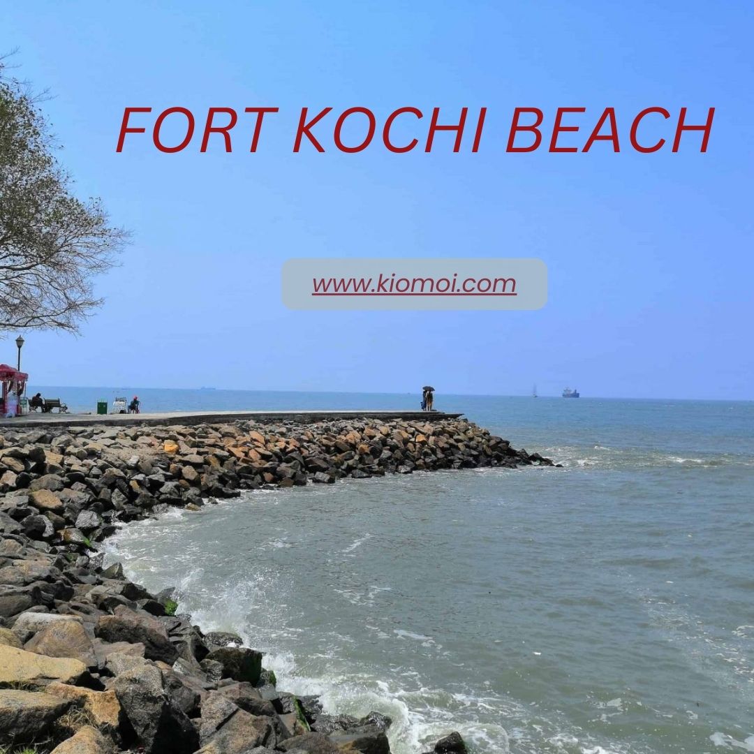 Discovering Fort Kochi Kochi Kerala: A Historical Gem in Kerala