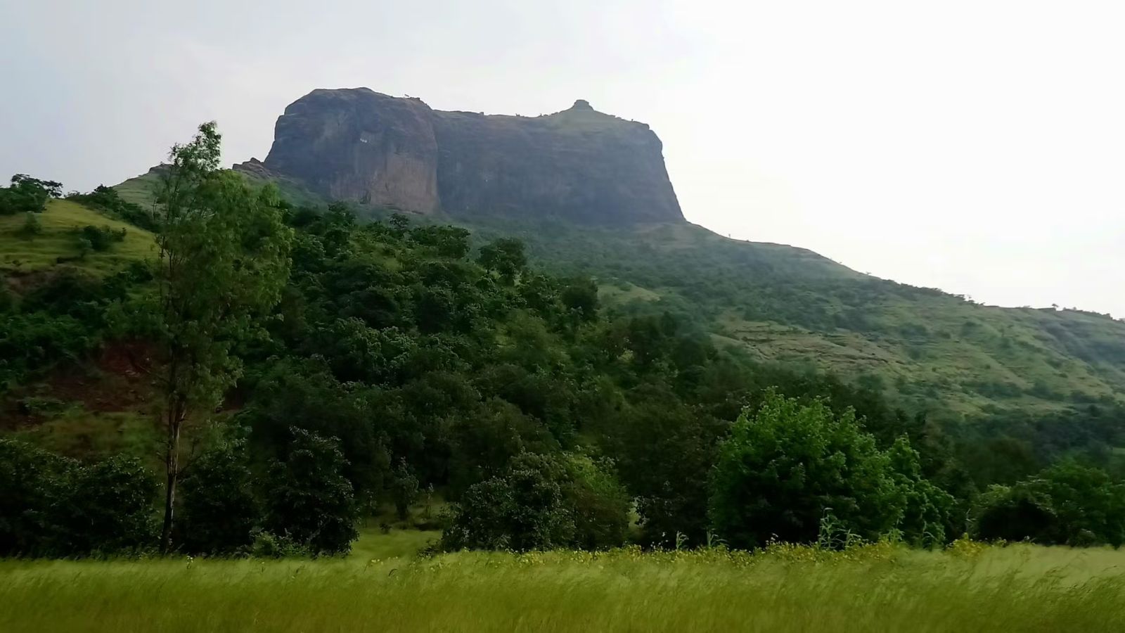 Exploring the Majestic Harihar Fort in Nashik: A Complete Guide