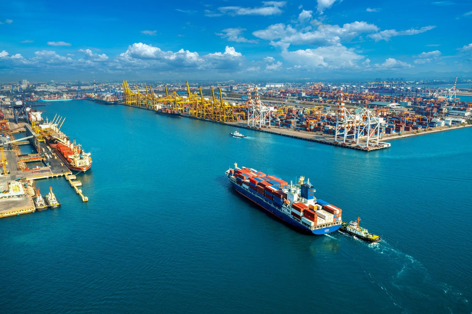 Cargo by Sea: A Comprehensive Guide to Ocean Freight Shipping
