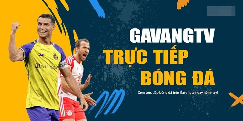 Quy Dinh Ban Quyen GavangTV