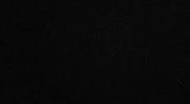 Your Guide to Choosing the Right Local Moving Company: Why Movers On The Go! Stands Out in Boston