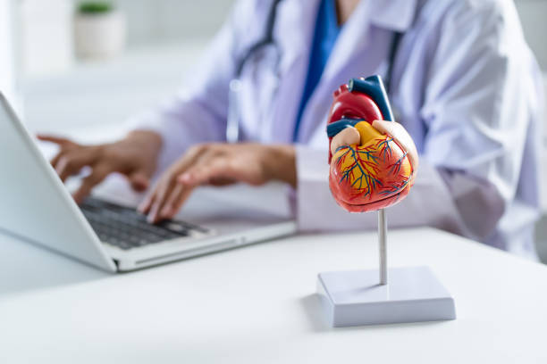 What Services Do Top Cardiologists in London Offer?