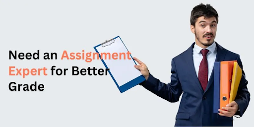 Score Higher with the Best Assignment Help Service