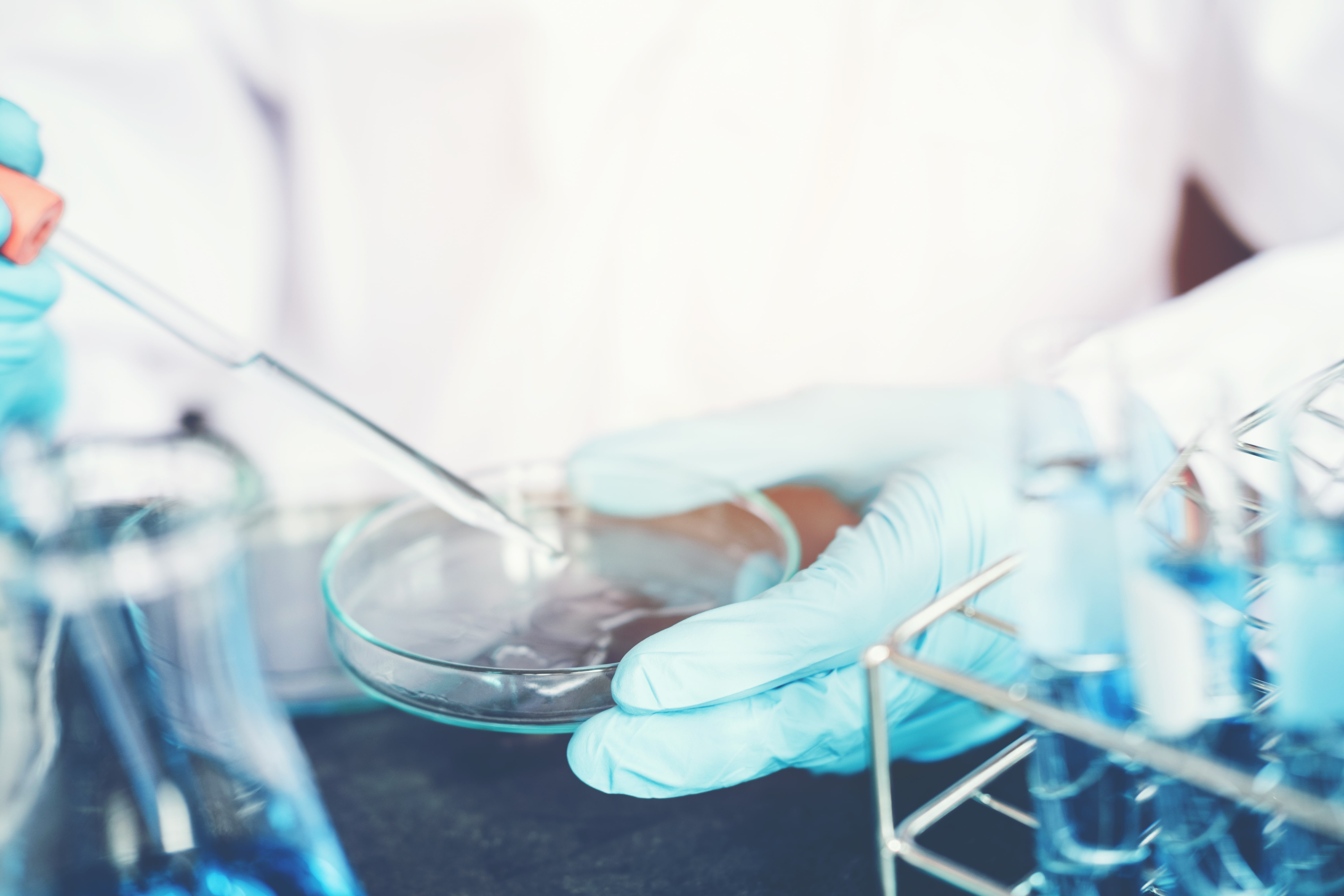 How Sizing Agents Control Water-Resistance in Paper Products
