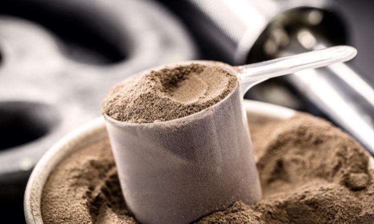 Casein Market Share, Size, Growth & Insights | 2032