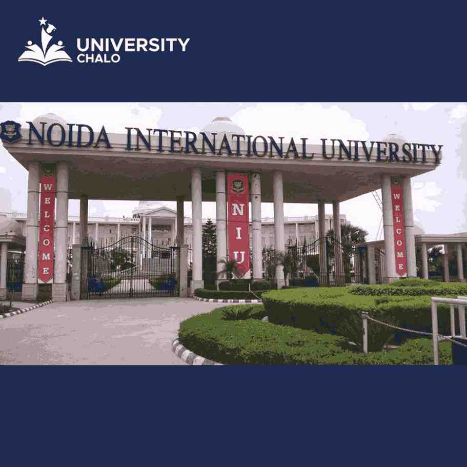 Noida International University: A Gateway to Global Opportunities