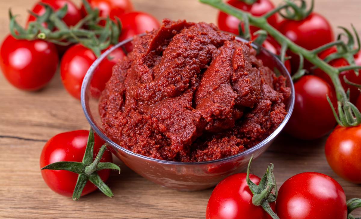 Tomato Concentrate Manufacturing Plant Project Report 2024: Raw Materials, Setup Cost and Revenue