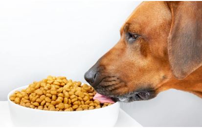 Pet Food Market Size Share & Growth Report, 2024