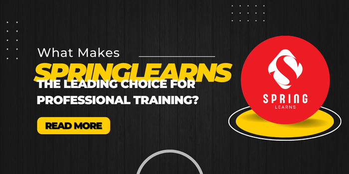 What Makes Springlearns the Leading Choice for Professional Training?