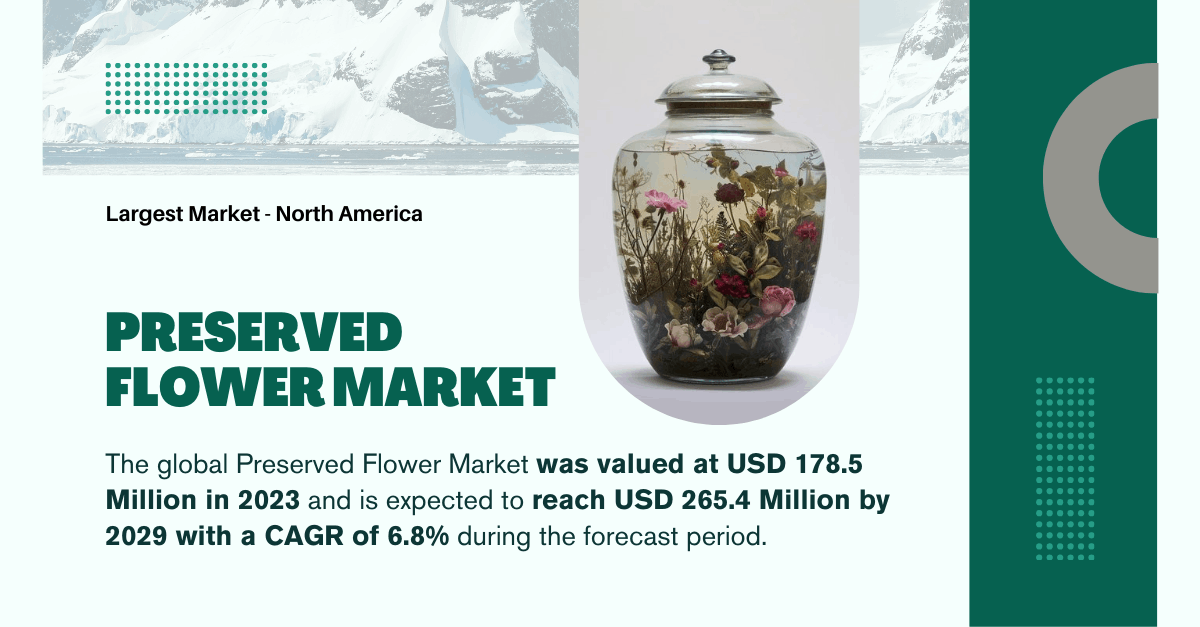 Preserved Flower Market: Expected 6.8% CAGR Growth (USD 178.5 Million to USD 265.4 Million)