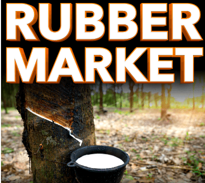 Rubber Market Overview: Industry Size, Share, Trends, and Forecast