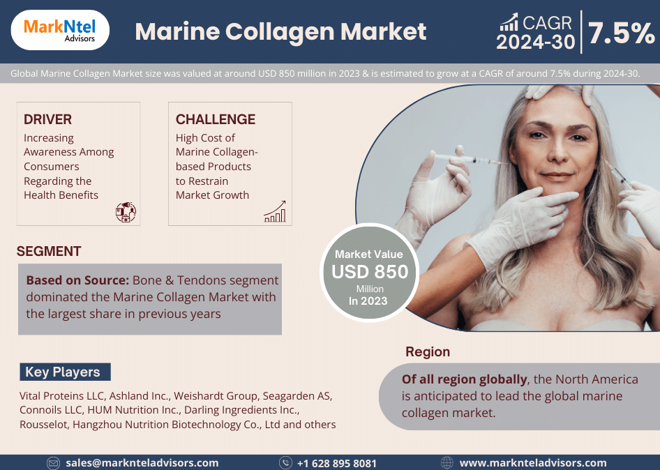 Rising Demand from the Nutraceuticals Industry Helping to Expand the Global Marine Collagen Market