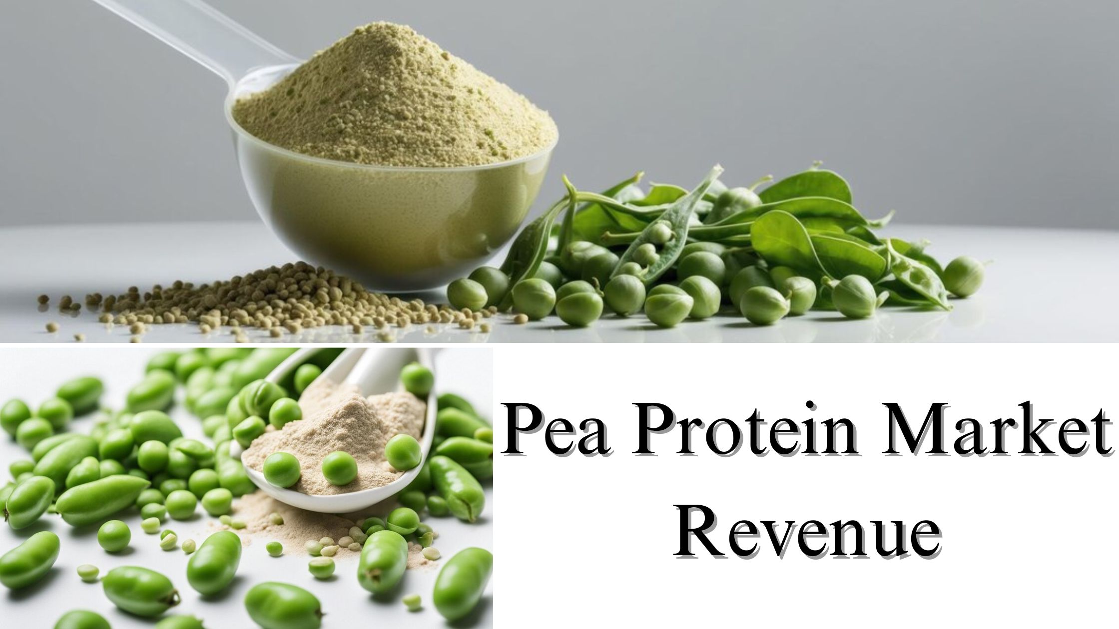 Pea Protein Market Revenue, Size, Share, Growth and Forecast Through 2032