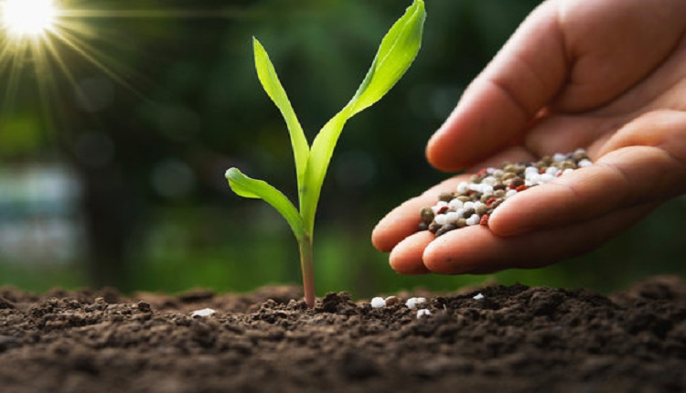 Mexico Specialty Fertilizer Market: Precision Ag and Technology to Fuel Growth