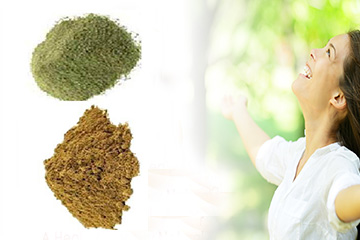 Herbal Extract Supplier in India: Vaibhav Traders Leading the Way