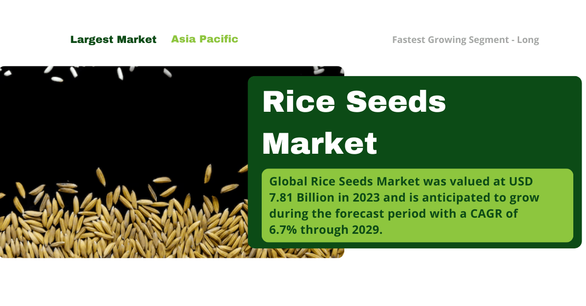 Rice Seeds Market: Future Insights and Growth Projections