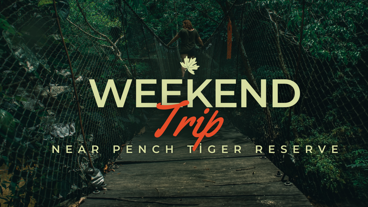 Weekend Trip Near Pench Tiger Reserve