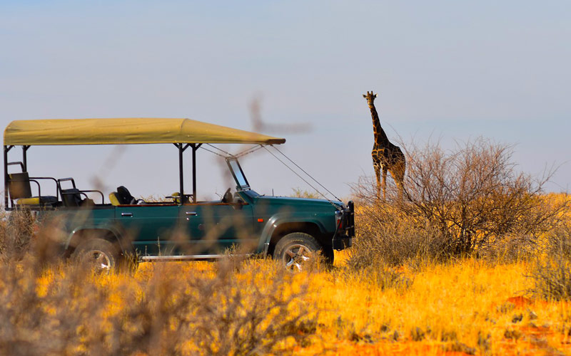 What You Must Know About The Luxury Safari Tanzania?