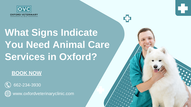 What Signs Indicate You Need Animal Care Services in Oxford?