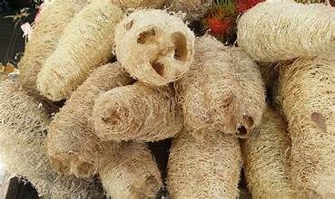What Is a Loofa? Everything You Need to Know About This Natural Sponge