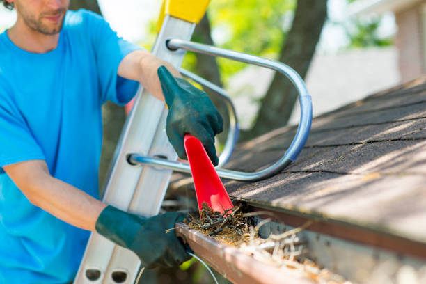 What is the best time of year for gutter cleaning?