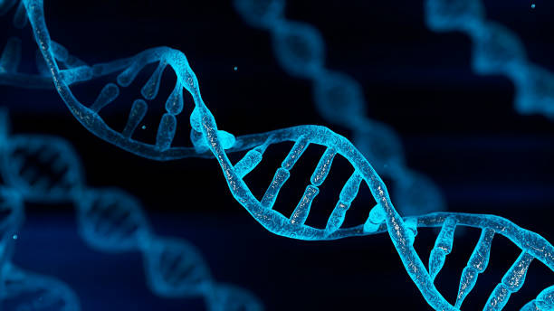 Integration of Technological Advancement, Encourages Gene Panel Industry to Achieve a CAGR of 14.2% by 2030