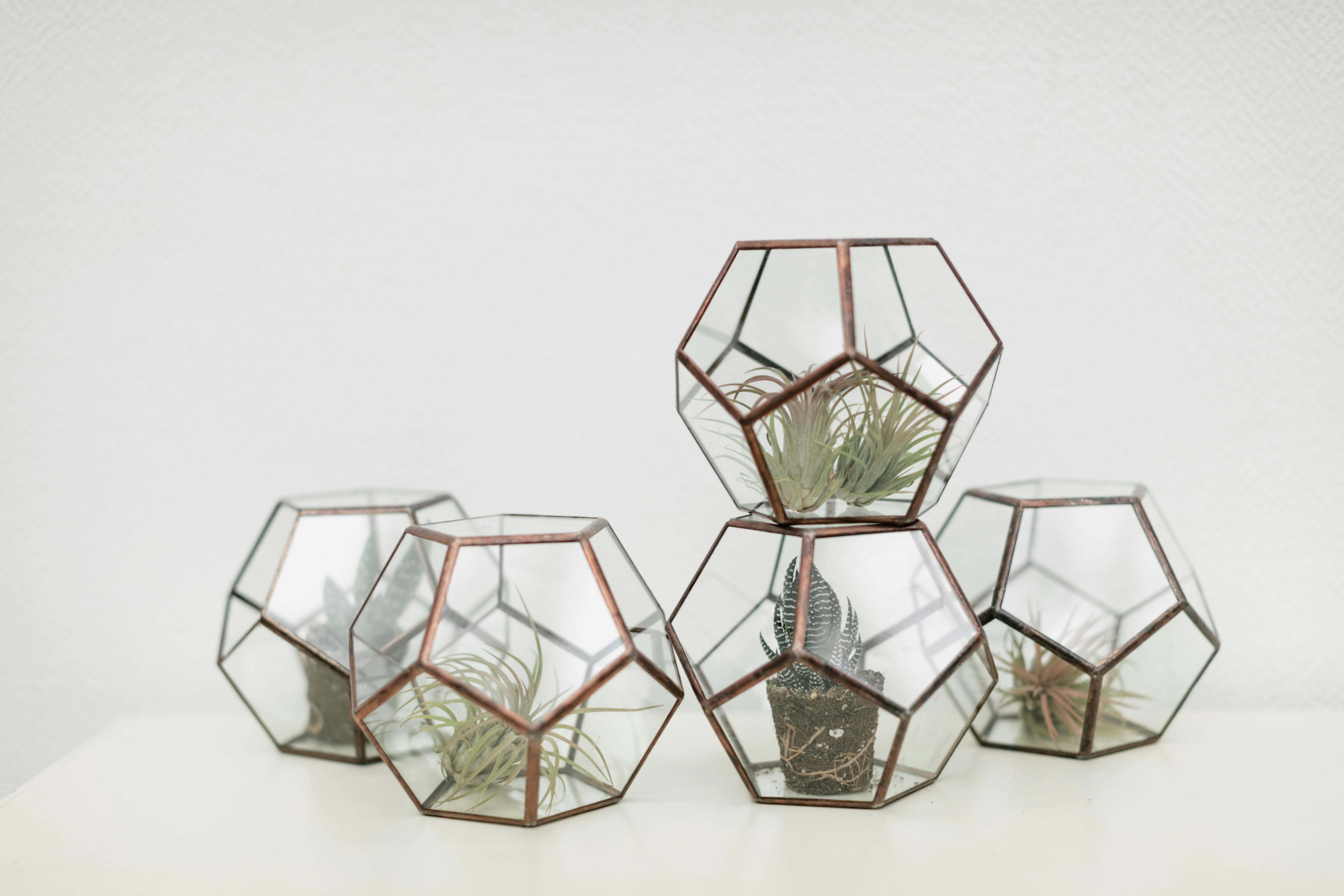 Façons créatives de décorer avec de petites plantes d’intérieur