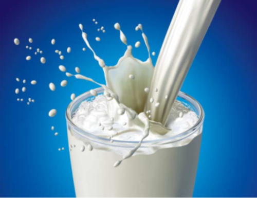 UHT Milk Manufacturing Plant 2024: Raw Materials Requirement, Cost and Revenue