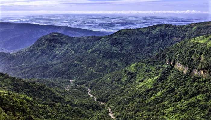 Kaziranga Tour Package: Explore the Wild Beauty of Assam’s Jewel
