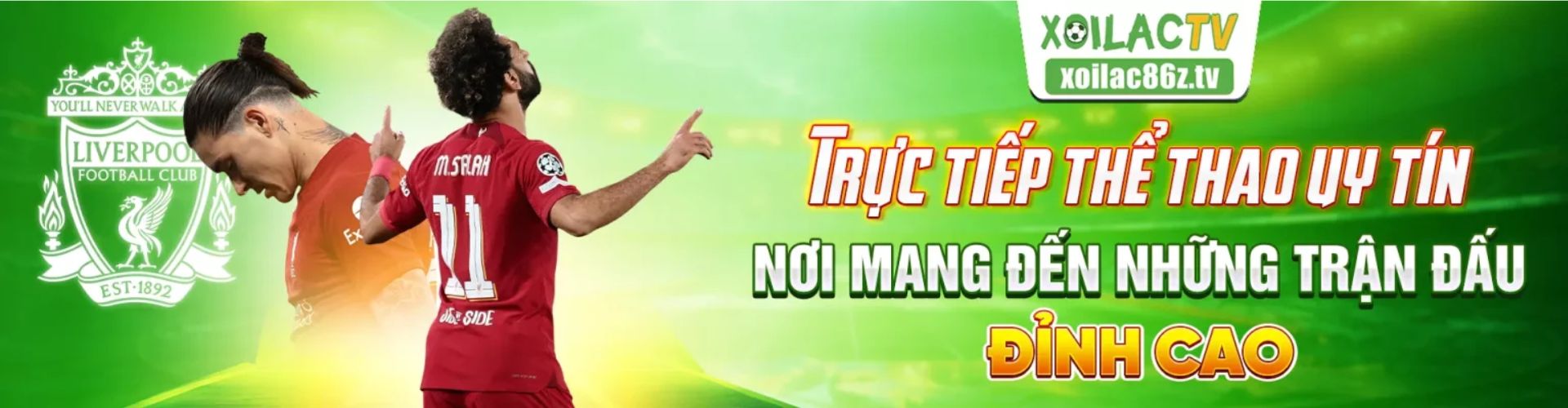Quy Dinh Ban Quyen Xoilactv