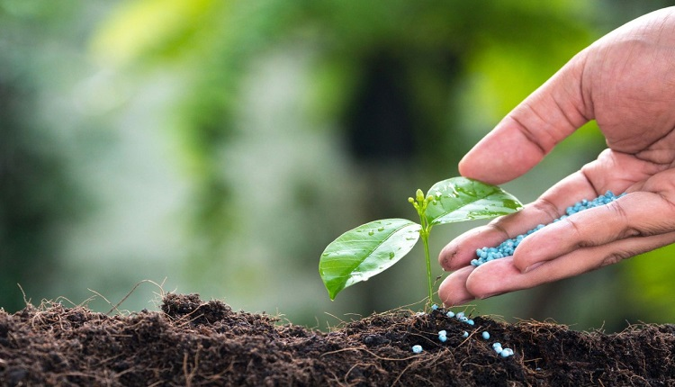Europe Mycorrhizae-Based Biofertilizers Market: Natural Farming Adoption Boosts Demand
