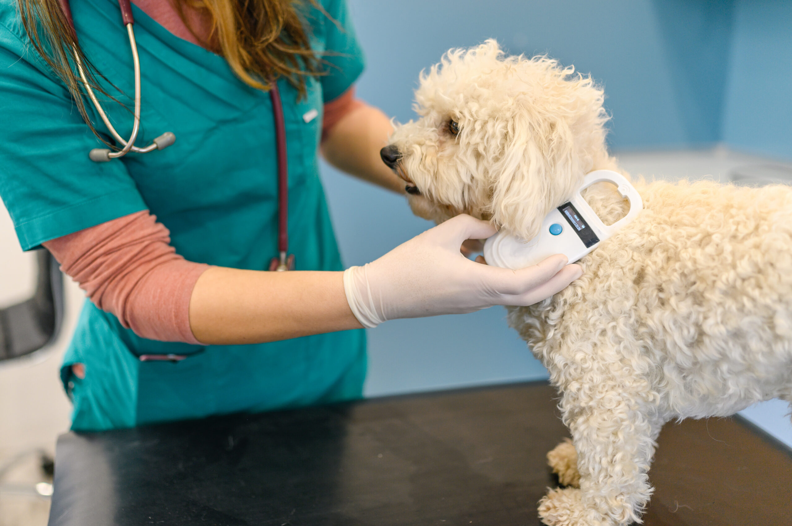 Veterinary Microchips Market: Industry Size and Growth Trends [2029]  